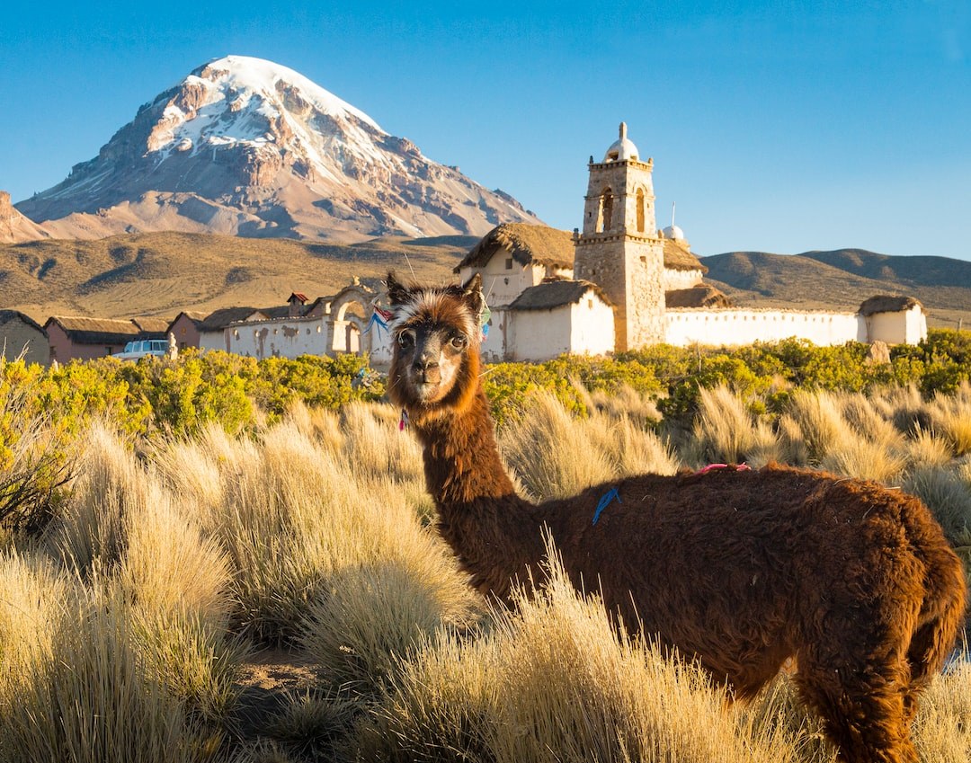 Picture of Bolivia