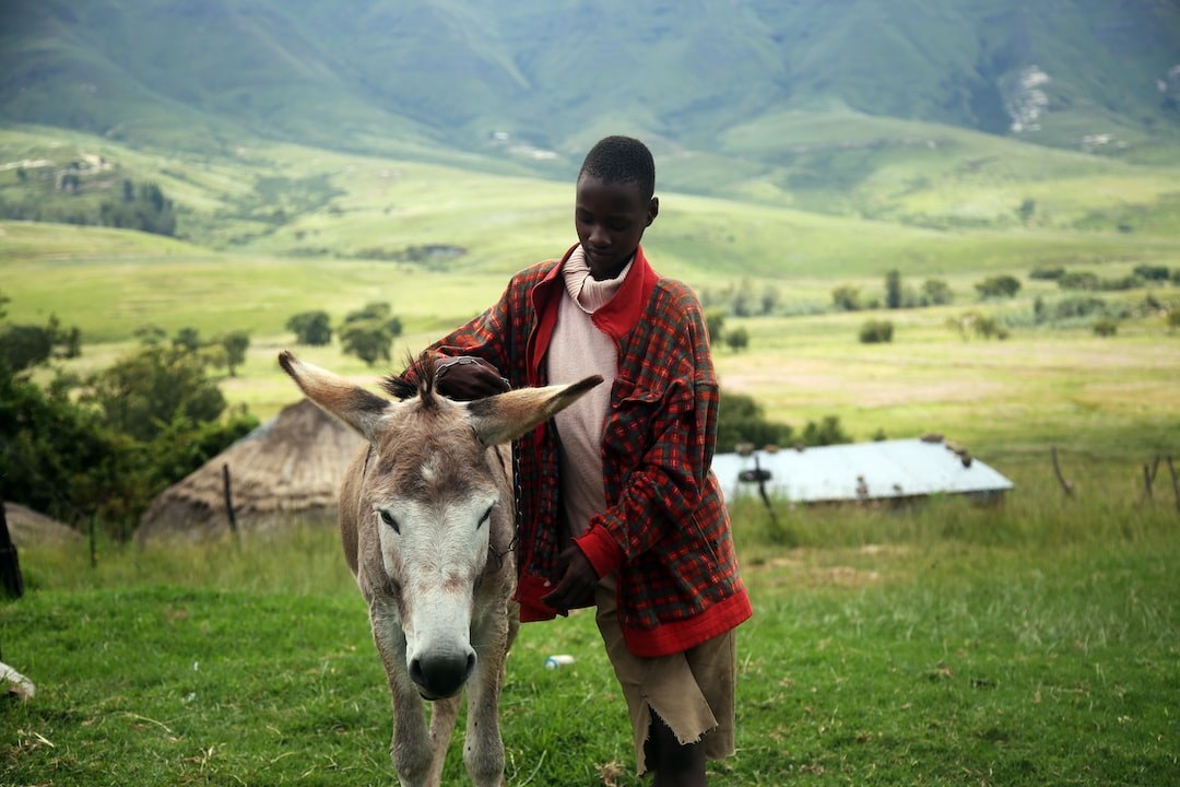 Picture of Lesotho