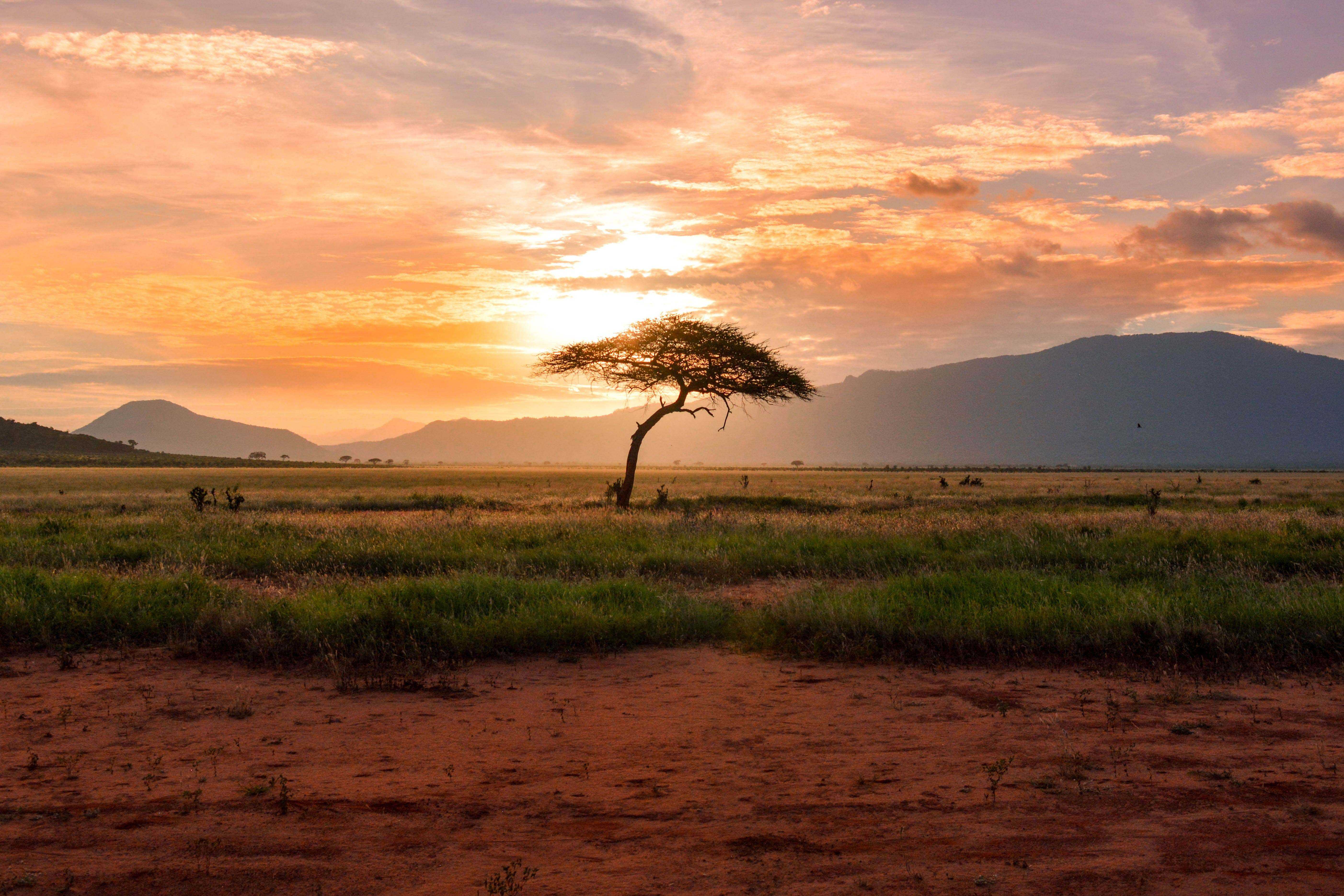 Image de Afrique