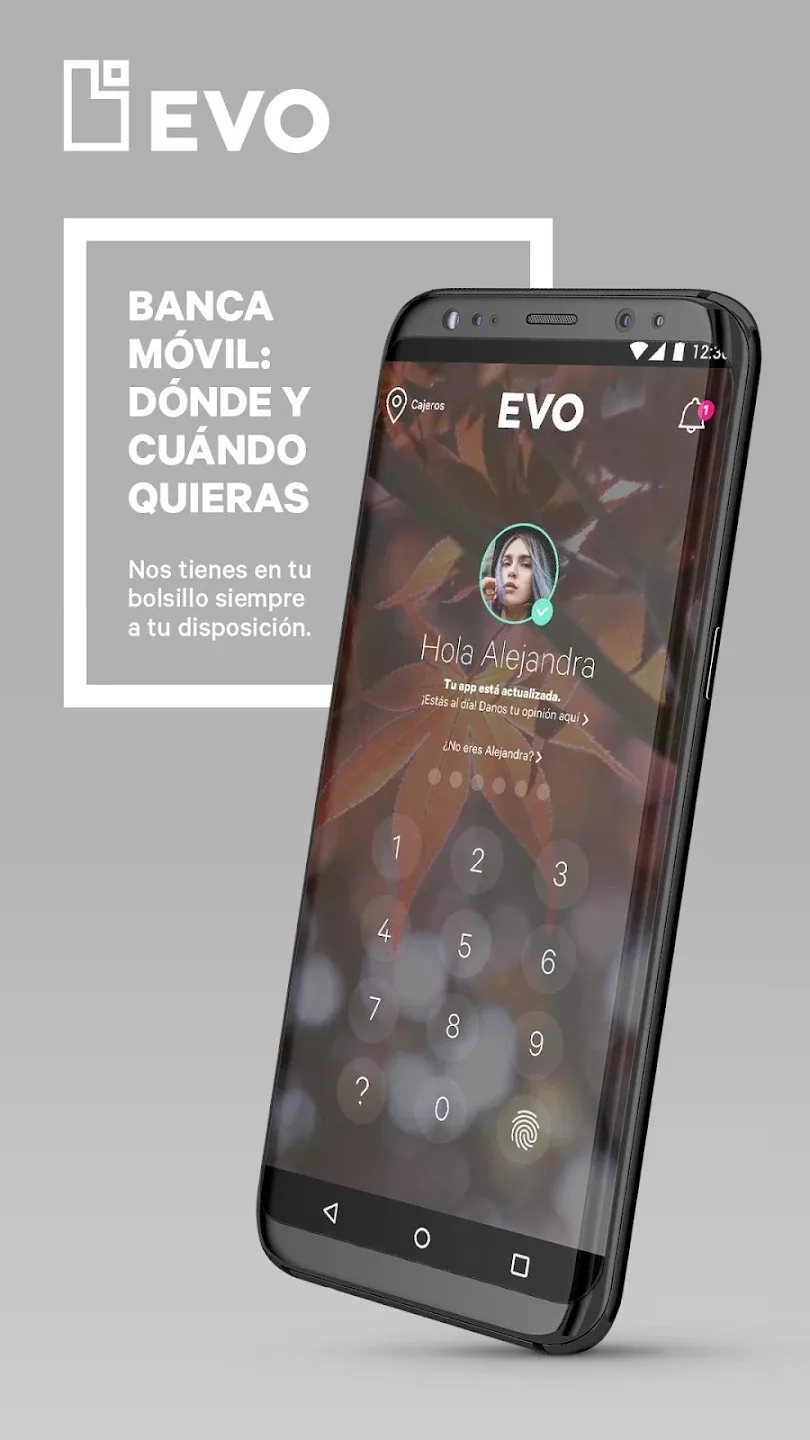 Evo banco screenshot 1