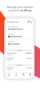 Payoneer screenshot 1