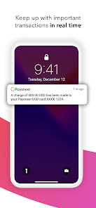 Payoneer screenshot 2